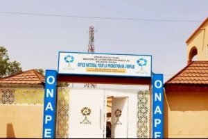 الهيئة الوطنية لترقية العمل